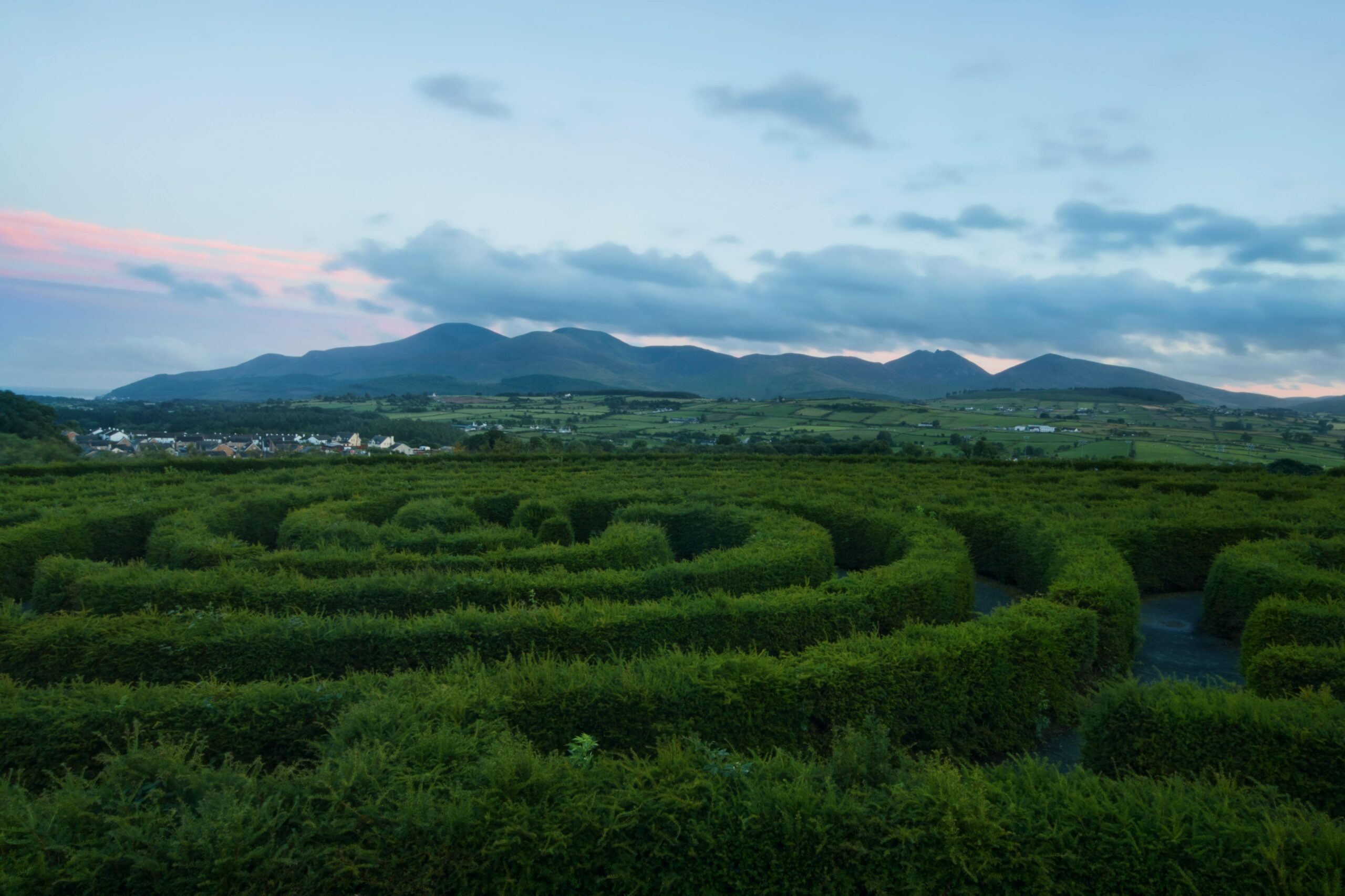 Planning to Study in Ireland? Top Courses to Pursue in Ireland
