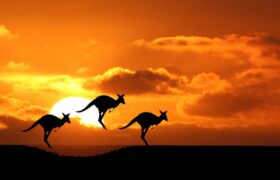 Healthcare Careers in Australia: The Growing Need for General Practitioners in 2025