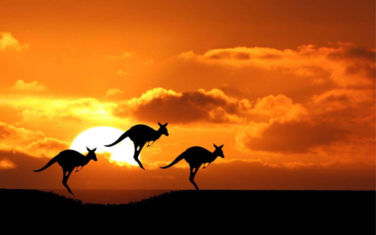 Healthcare Careers in Australia: The Growing Need for General Practitioners in 2025