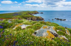 Education 2025 Guide: Study Abroad in Ireland After 12th Grade