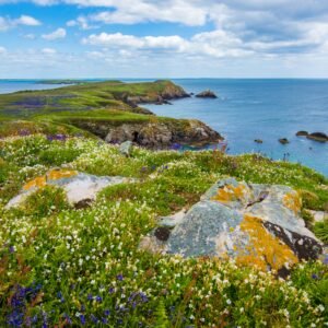 Education 2025 Guide: Study Abroad in Ireland After 12th Grade