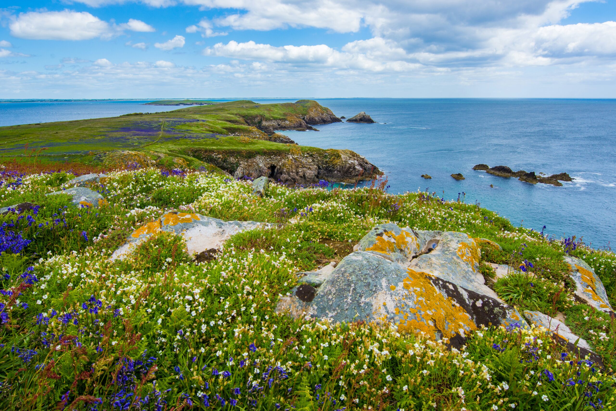 Education 2025 Guide: Study Abroad in Ireland After 12th Grade