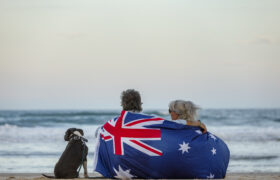 A beautiful shot of a couple on the beach with blue English Stafford dog
